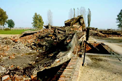 My photo of the ruins of Gas Chamber III at Auschwitz-Birkenau